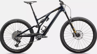 2024 Specialized Stumpjumper EVO Expert T-Type