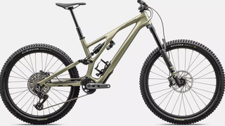 2024 Specialized Stumpjumper EVO Expert T-Type