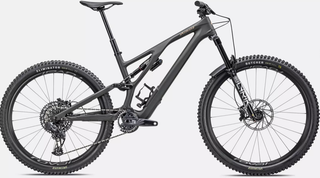 2023 Specialized Stumpjumper EVO LTD