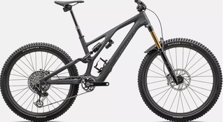2024  S-Works Stumpjumper EVO T-Type