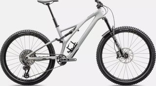 2024 Specialized Stumpjumper LTD T-Type