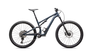 Specialized Stumpjumper 15 Alloy - Satin Cast Blue / Dove Grey
