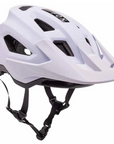 2024 Fox Speedframe Helmet