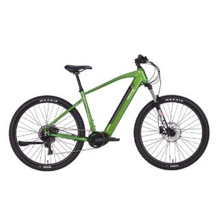 Velectrix Ascent Pulse X 29