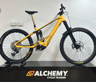 Orbea Wild M-Custom Medium 2025