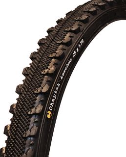 Chaptah Lascivio MTB Tyre 24x1.75