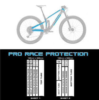 Dirty Possum Frame Protection Pro-Clear