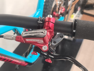 Rocky Mountain Instinct Large 2020