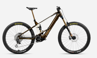 2025 Orbea Wild M-Ltd
