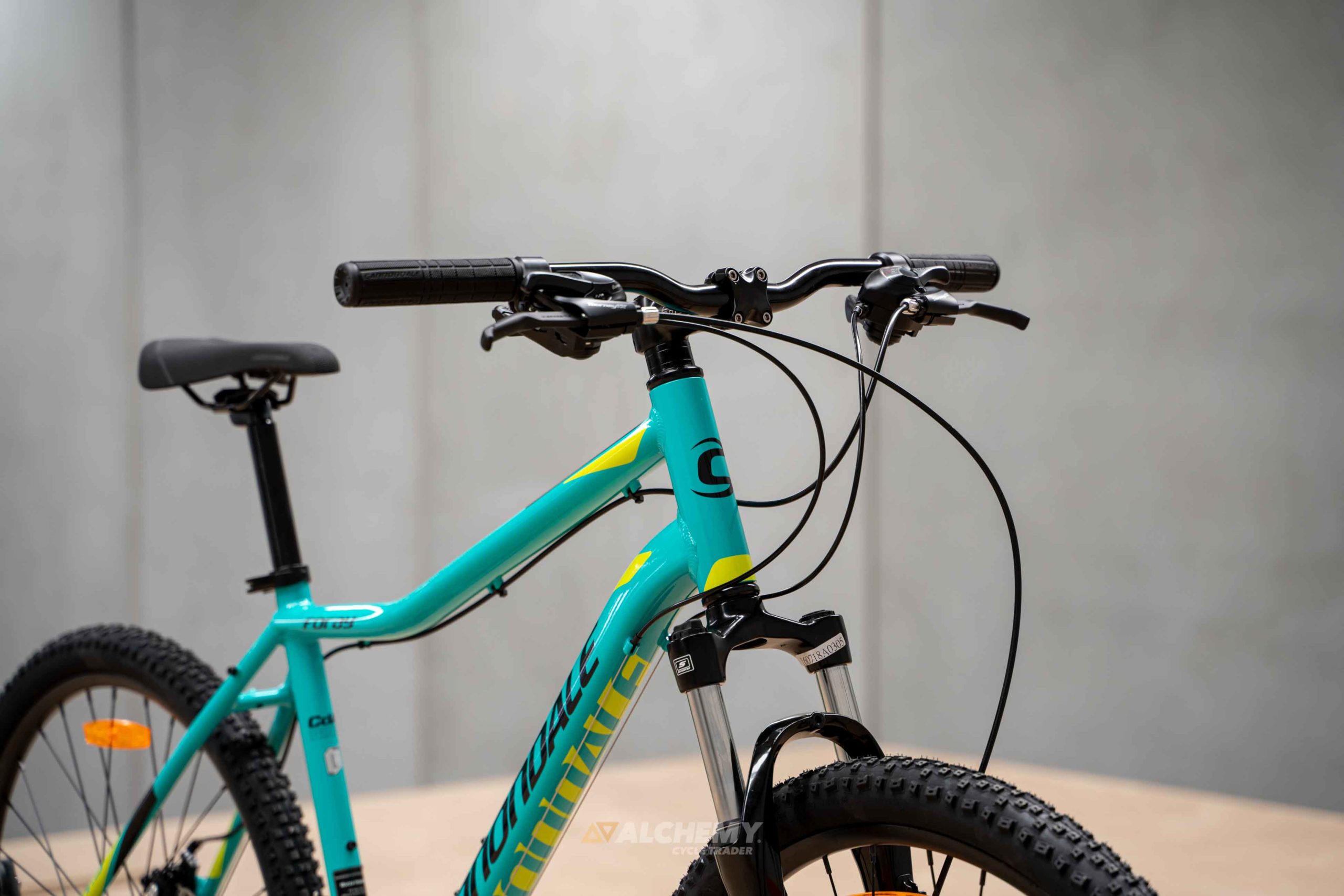 cannondale foray 2019
